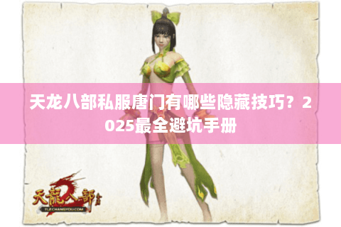 天龙八部私服唐门有哪些隐藏技巧？2025最全避坑手册