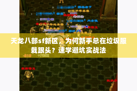 天龙八部sf新区，为何新手总在垃圾服栽跟头？速学避坑实战法