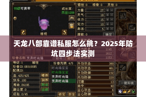 天龙八部靠谱私服怎么挑？2025年防坑四步法实测