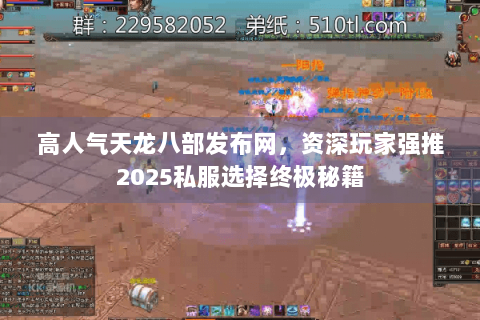 高人气天龙八部发布网，资深玩家强推2025私服选择终极秘籍
