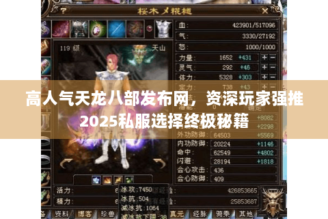 高人气天龙八部发布网，资深玩家强推2025私服选择终极秘籍