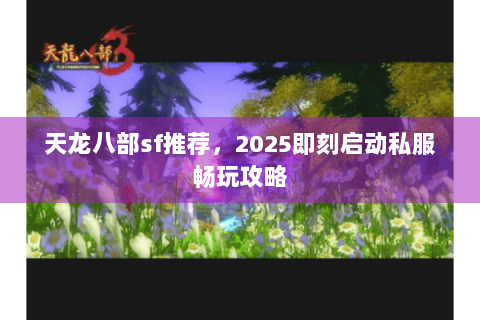 天龙八部sf推荐，2025即刻启动私服畅玩攻略