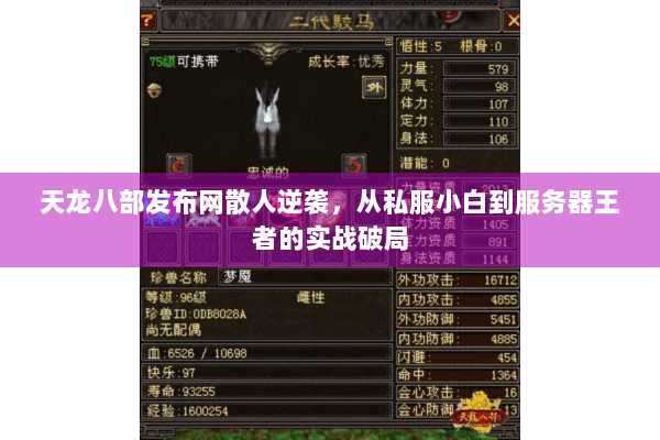 天龙八部发布网散人逆袭，从私服小白到服务器王者的实战破局