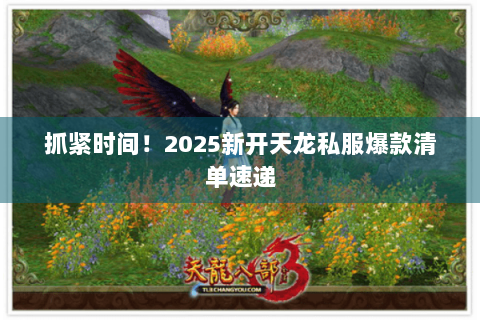 抓紧时间！2025新开天龙私服爆款清单速递