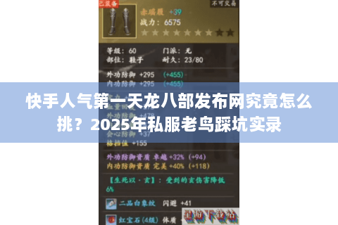 快手人气第一天龙八部发布网究竟怎么挑？2025年私服老鸟踩坑实录