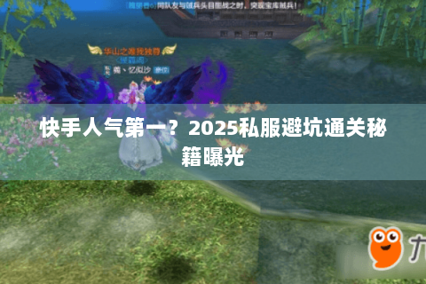 快手人气第一？2025私服避坑通关秘籍曝光