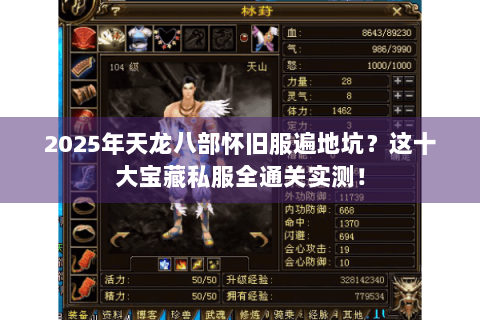 2025年天龙八部怀旧服遍地坑？这十大宝藏私服全通关实测！