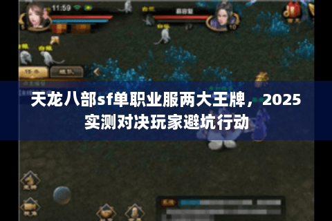 天龙八部sf单职业服两大王牌，2025实测对决玩家避坑行动