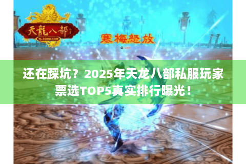 还在踩坑？2025年天龙八部私服玩家票选TOP5真实排行曝光！