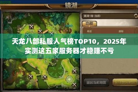天龙八部私服人气榜TOP10，2025年实测这五家服务器才稳赚不亏