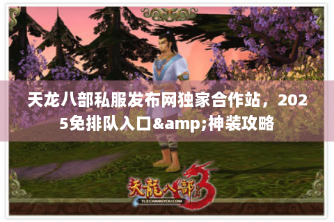 天龙八部私服发布网独家合作站，2025免排队入口&神装攻略