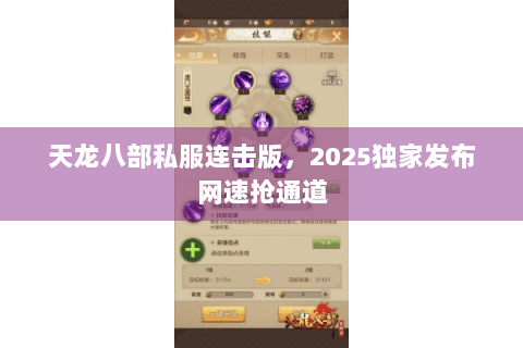 天龙八部私服连击版，2025独家发布网速抢通道