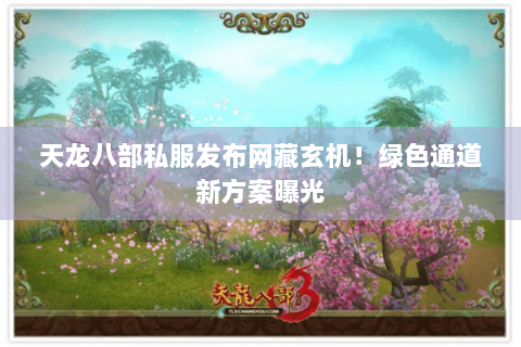 天龙八部私服发布网藏玄机！绿色通道新方案曝光