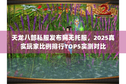 天龙八部私服发布网无托服，2025真实玩家比例排行TOP5实测对比