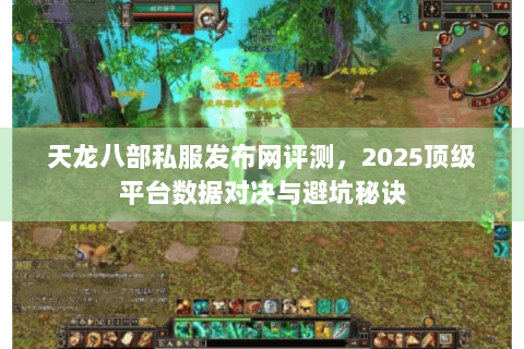 天龙八部私服发布网评测，2025顶级平台数据对决与避坑秘诀