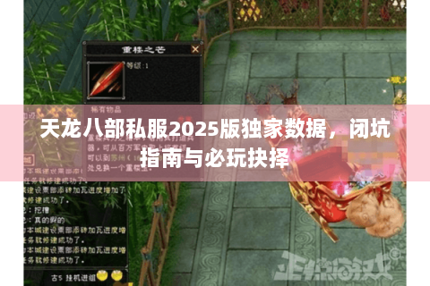 天龙八部私服2025版独家数据，闭坑指南与必玩抉择