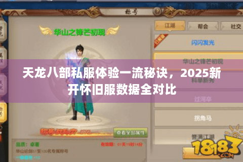 天龙八部私服体验一流秘诀，2025新开怀旧服数据全对比