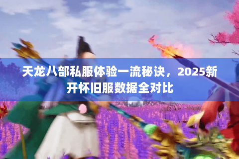 天龙八部私服体验一流秘诀，2025新开怀旧服数据全对比