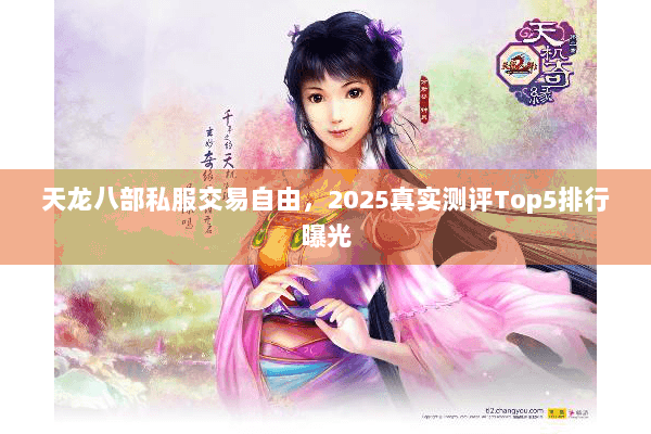 天龙八部私服交易自由，2025真实测评Top5排行曝光