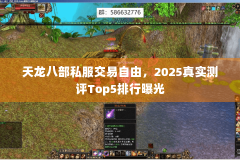 天龙八部私服交易自由，2025真实测评Top5排行曝光