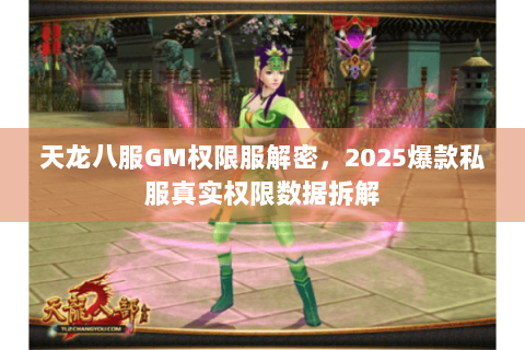 天龙八服GM权限服解密，2025爆款私服真实权限数据拆解