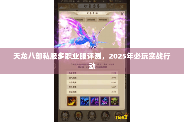 天龙八部私服多职业服评测，2025年必玩实战行动