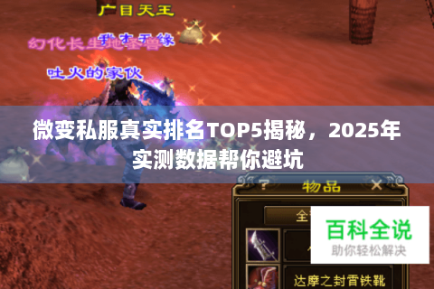 微变私服真实排名TOP5揭秘，2025年实测数据帮你避坑