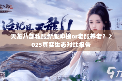天龙八部私服新服冲榜or老服养老？2025真实生态对比报告