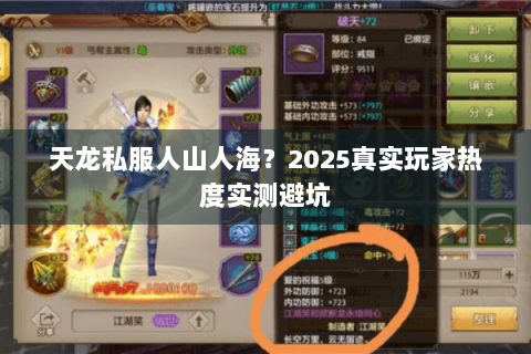 天龙私服人山人海？2025真实玩家热度实测避坑