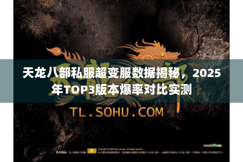 天龙八部私服超变服数据揭秘，2025年TOP3版本爆率对比实测