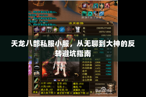 天龙八部私服小服，从无聊到大神的反转避坑指南