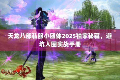天龙八部私服小团体2025独家秘藏，避坑入圈实战手册