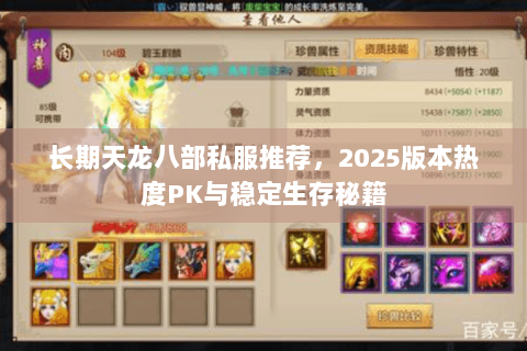 长期天龙八部私服推荐，2025版本热度PK与稳定生存秘籍