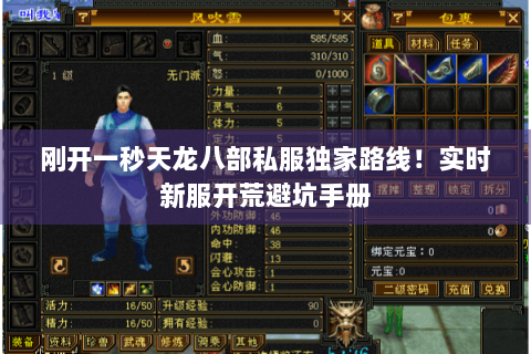 刚开一秒天龙八部私服独家路线!实时新服开荒避坑手册 刚开一秒天龙八部私服独家路线!实时新服开荒避坑手册