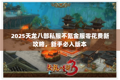 2025天龙八部私服不氪金服零花费新攻略，新手必入版本