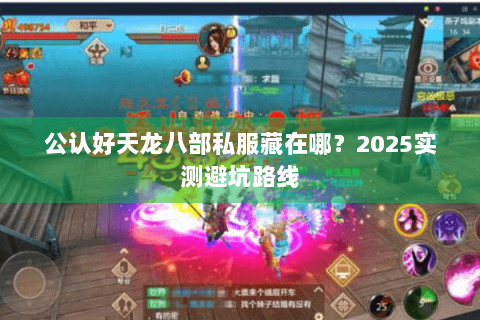 公认好天龙八部私服藏在哪？2025实测避坑路线