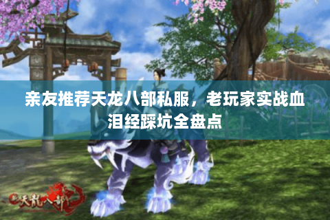 亲友推荐天龙八部私服，老玩家实战血泪经踩坑全盘点