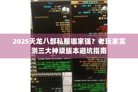 2025天龙八部私服哪家强？老玩家实测三大神级版本避坑指南