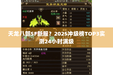 天龙八部SF新服？2025冲级榜TOP3实测24小时满级