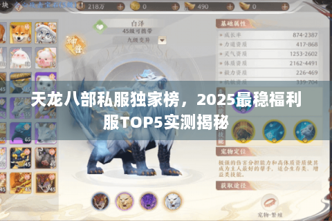 天龙八部私服独家榜，2025最稳福利服TOP5实测揭秘