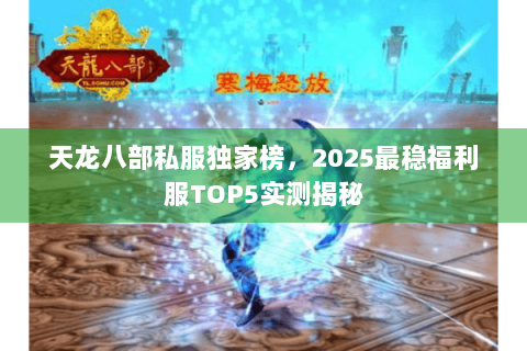 天龙八部私服独家榜，2025最稳福利服TOP5实测揭秘