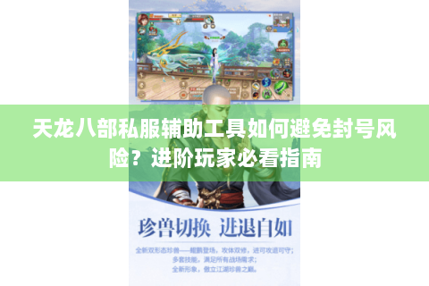 天龙八部私服辅助工具如何避免封号风险？进阶玩家必看指南
