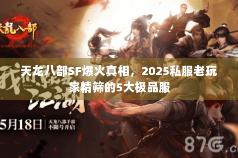 天龙八部SF爆火真相，2025私服老玩家精筛的5大极品服