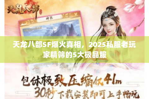 天龙八部SF爆火真相，2025私服老玩家精筛的5大极品服