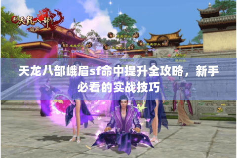天龙八部峨眉sf命中提升全攻略，新手必看的实战技巧
