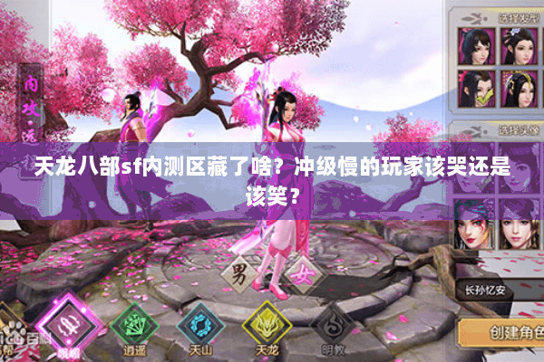 天龙八部sf内测区藏了啥？冲级慢的玩家该哭还是该笑？