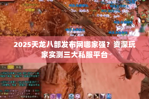 2025天龙八部发布网哪家强？资深玩家实测三大私服平台