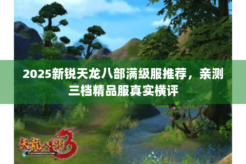 2025新锐天龙八部满级服推荐，亲测三档精品服真实横评