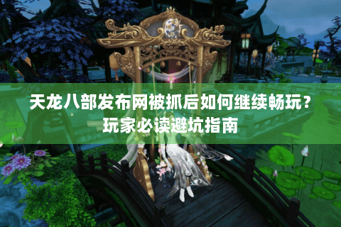 天龙八部发布网被抓后如何继续畅玩？玩家必读避坑指南