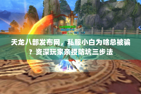 天龙八部发布网，私服小白为啥总被骗？资深玩家亲授防坑三步法